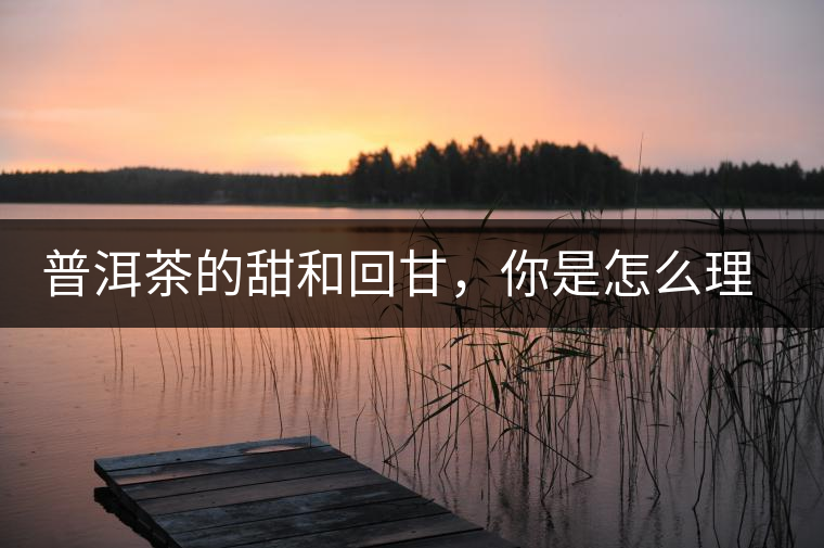 普洱茶的甜和回甘，你是怎么理解的？