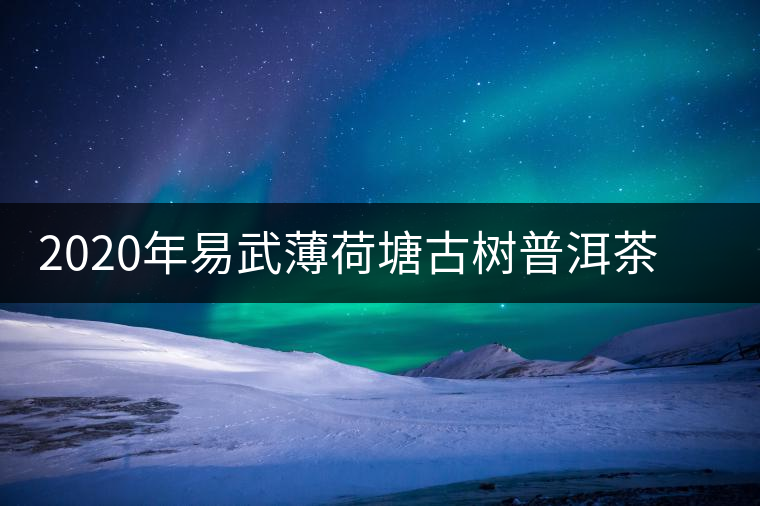 2020年易武薄荷塘古樹普洱茶特點(diǎn)，價(jià)格又上漲了嗎？