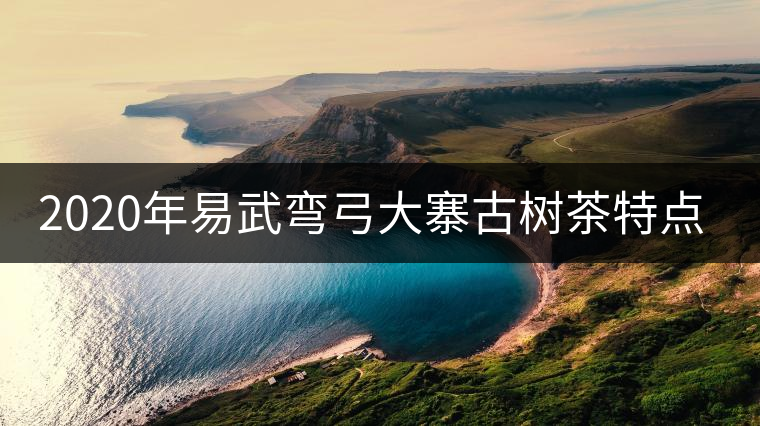 2020年易武彎弓大寨古樹(shù)茶特點(diǎn)和價(jià)格