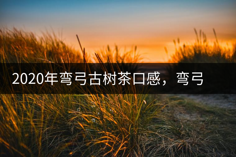 2020年彎弓古樹茶口感，彎弓普洱茶價(jià)格特點(diǎn)