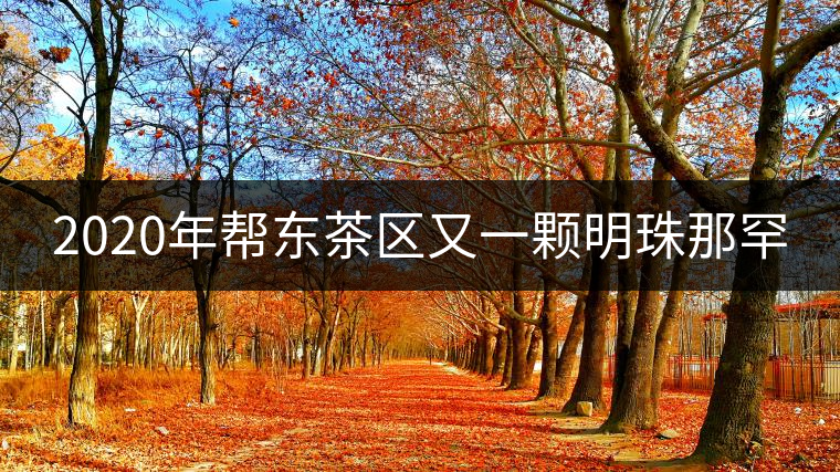 2020年幫東茶區(qū)又一顆明珠那罕