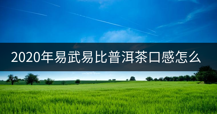 2020年易武易比普洱茶口感怎么樣 2020年易武易比普洱茶口感怎么樣