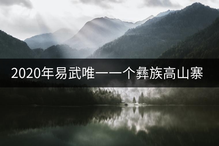 2020年易武唯一一個(gè)彝族高山寨普洱茶