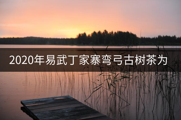 2020年易武丁家寨彎弓古樹茶為什么這么受追捧！