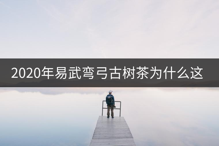 2020年易武彎弓古樹茶為什么這么貴？