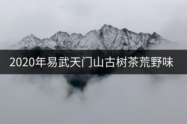 2020年易武天門山古樹茶荒野味道 2020年易武天門山古樹茶荒野味道