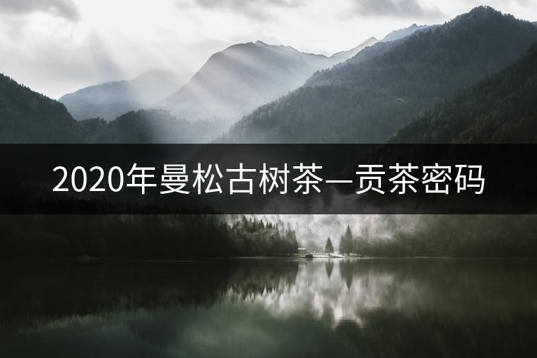 2020年曼松古樹(shù)茶—貢茶密碼