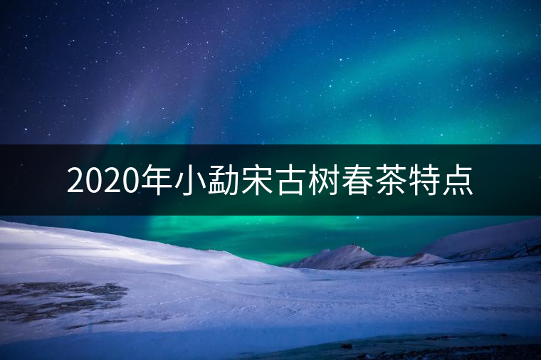 2020年小勐宋古樹春茶特點 2020年小勐宋古樹春茶特點