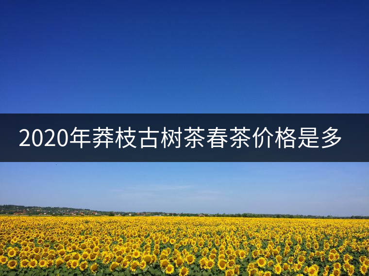 2020年莽枝古樹茶春茶價格是多少錢？