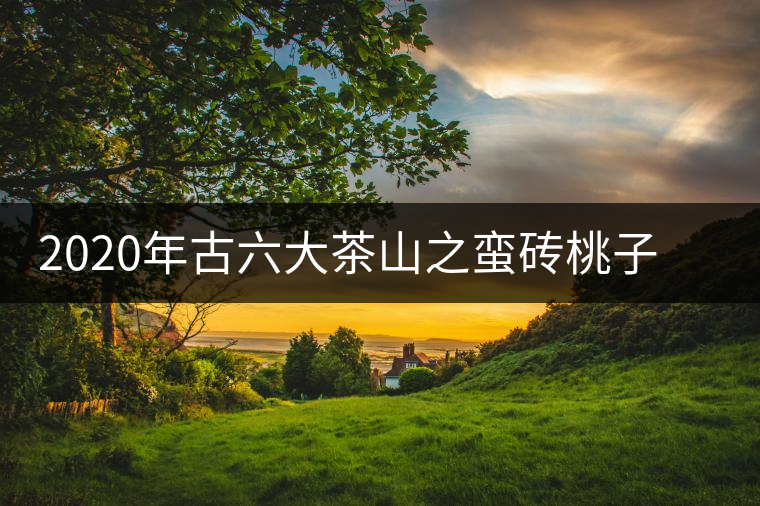 2020年古六大茶山之蠻磚桃子寨古樹茶，瓦龍古樹茶口感與特點