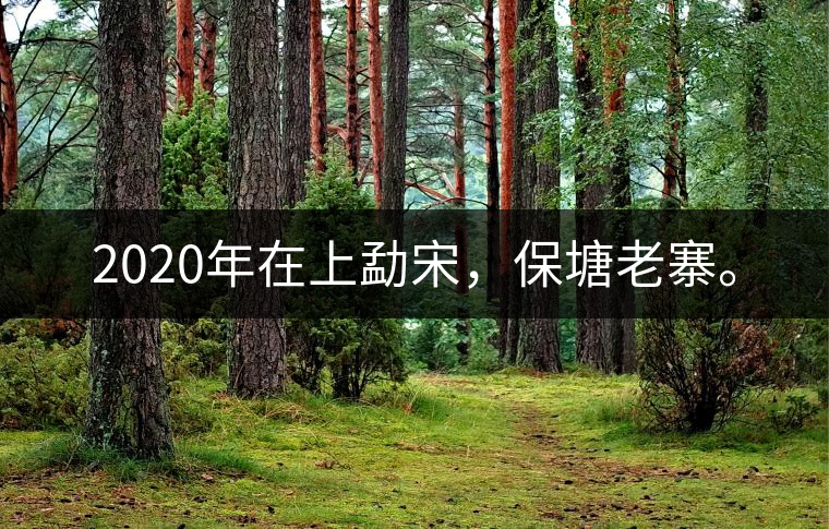 2020年在上勐宋，保塘老寨。