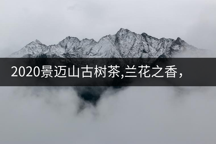 2020景邁山古樹茶,蘭花之香，自然之味