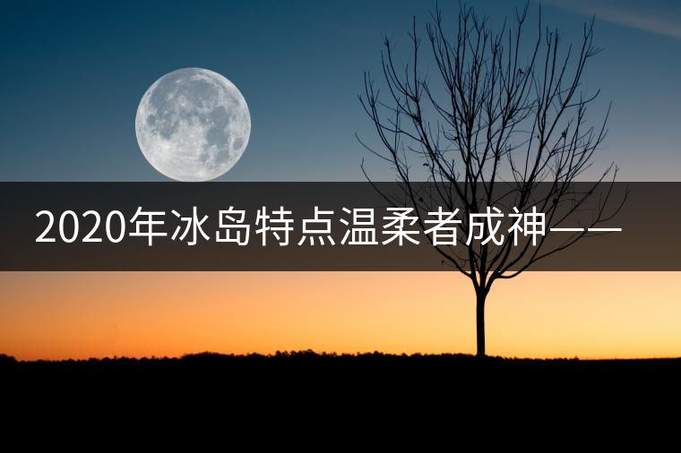 2020年冰島特點(diǎn)溫柔者成神——冰島古樹茶（下）