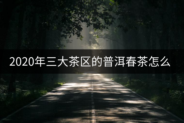 2020年三大茶區(qū)的普洱春茶怎么樣 2020年三大茶區(qū)的普洱春茶怎么樣