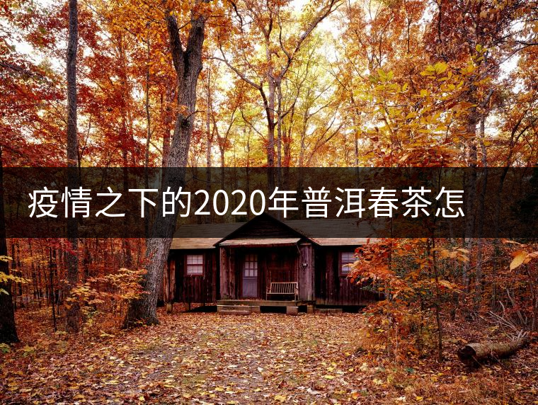 疫情之下的2020年普洱春茶怎么辦？春天會(huì)遲到，但一定會(huì)來