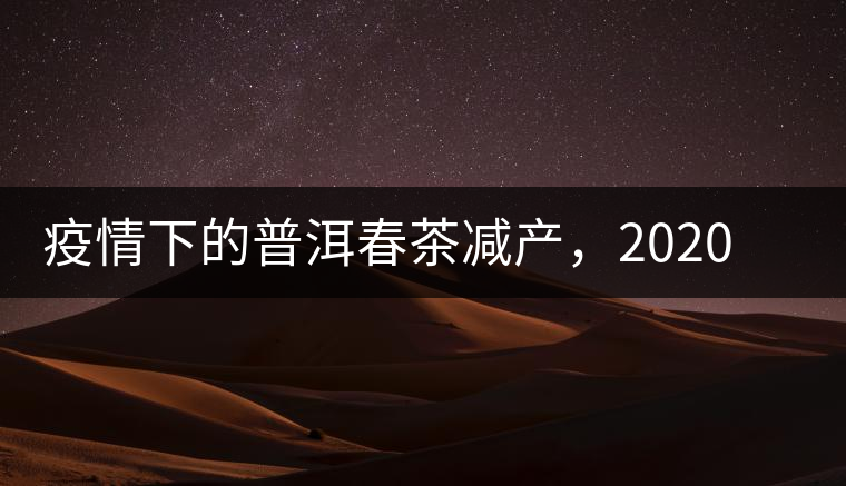 疫情下的普洱春茶減產(chǎn)，2020年價(jià)格“兩極分化”或成常態(tài)？