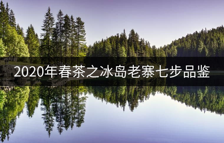 2020年春茶之冰島老寨七步品鑒 2020年春茶之冰島老寨七步品鑒