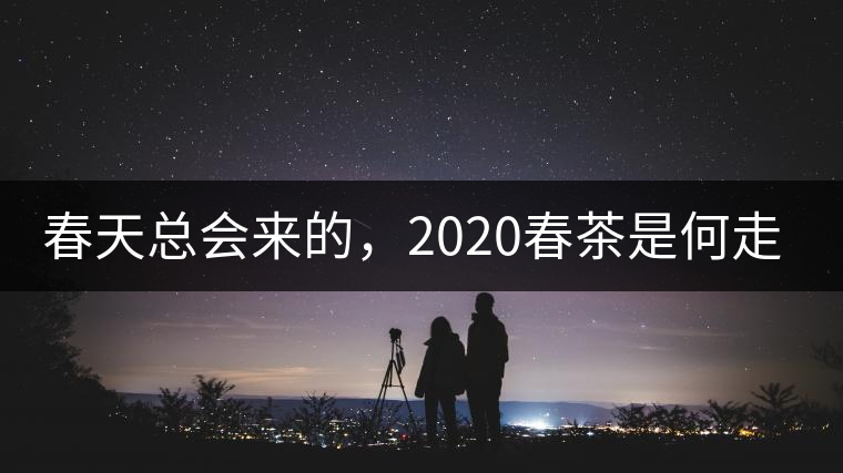 春天總會來的，2020春茶是何走勢？