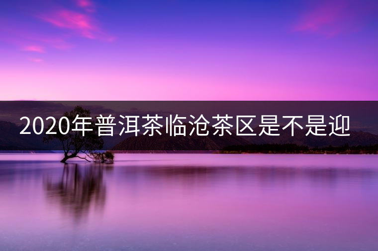 2020年普洱茶臨滄茶區(qū)是不是迎來最好機(jī)遇？