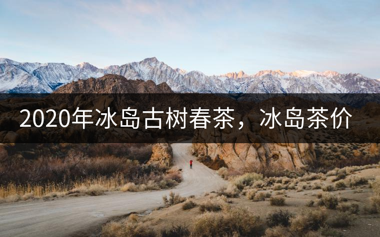2020年冰島古樹春茶，冰島茶價(jià)格貴在哪里？