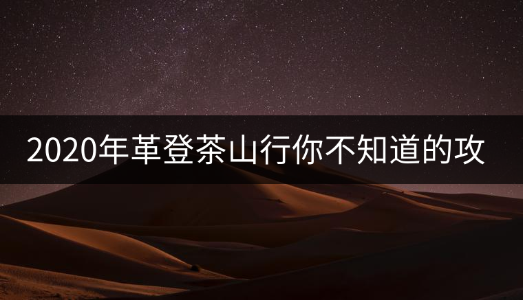 2020年革登茶山行你不知道的攻略 2020年革登茶山行你不知道的攻略