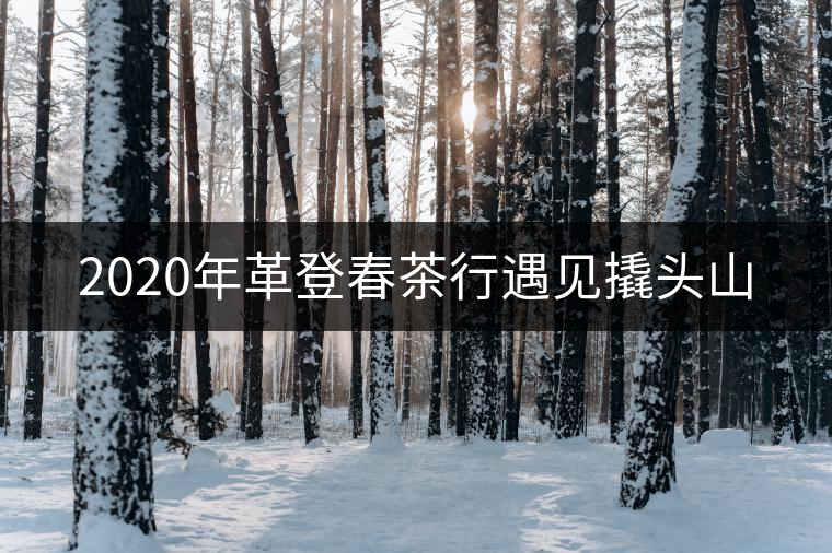 2020年革登春茶行遇見撬頭山 2020年革登春茶行遇見撬頭山
