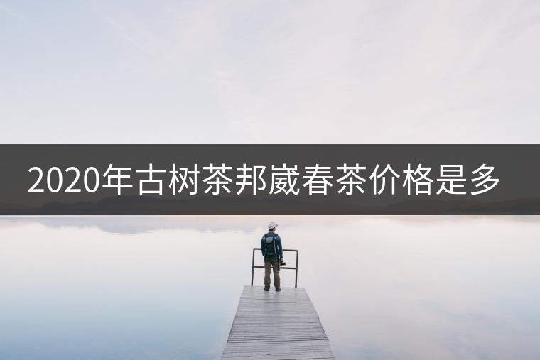 2020年古樹茶邦崴春茶價格是多少？
