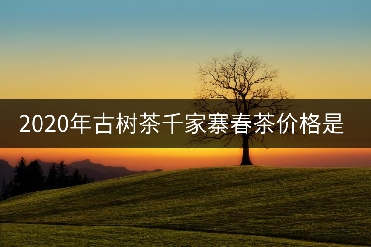 2020年古樹(shù)茶千家寨春茶價(jià)格是多少？