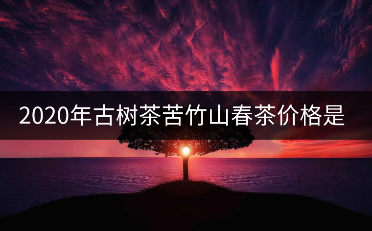 2020年古樹茶苦竹山春茶價(jià)格是多少？