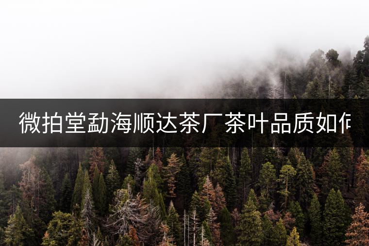 微拍堂勐海順達茶廠茶葉品質如何？