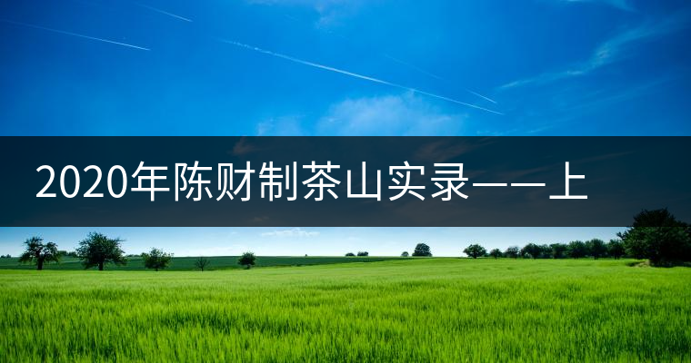 2020年陳財制茶山實錄——上貢車?yán)镄扛哪强? alt=