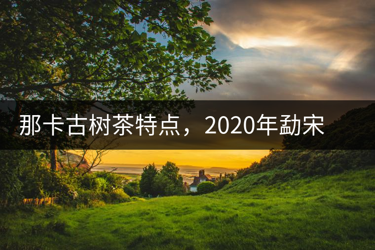 那卡古樹(shù)茶特點(diǎn)，2020年勐宋茶區(qū)保塘普洱茶口感