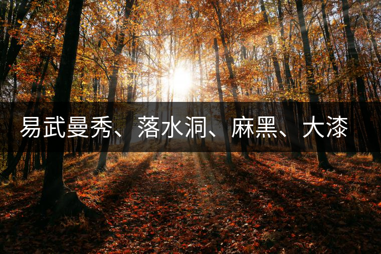 易武曼秀、落水洞、麻黑、大漆樹等你更喜歡哪個(gè)茶？