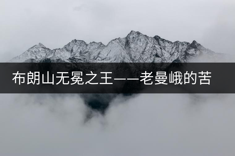 布朗山無冕之王——老曼峨的苦與甜