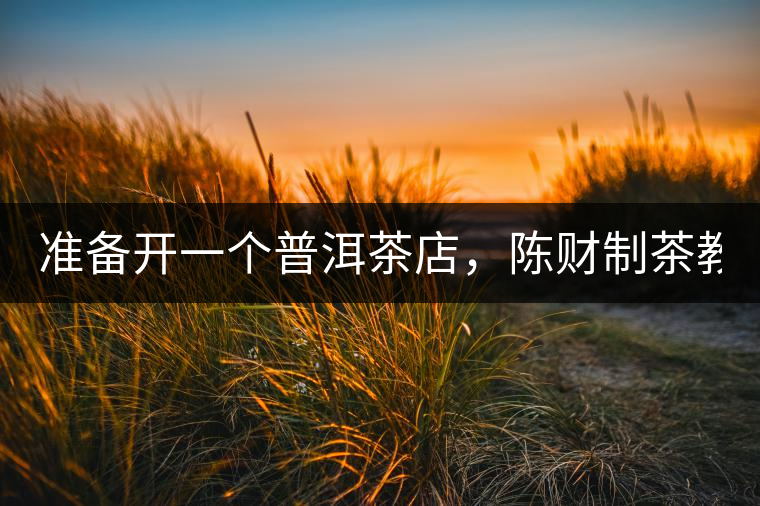 準(zhǔn)備開(kāi)一個(gè)普洱茶店，陳財(cái)制茶教你怎么做！