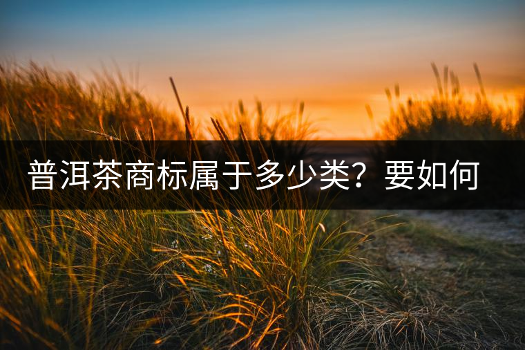 普洱茶商標屬于多少類？要如何注冊