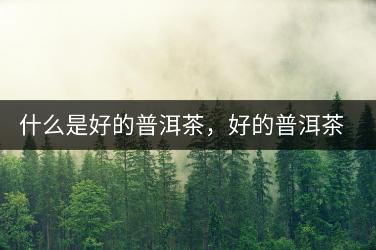 什么是好的普洱茶，好的普洱茶必須要有好的工藝！