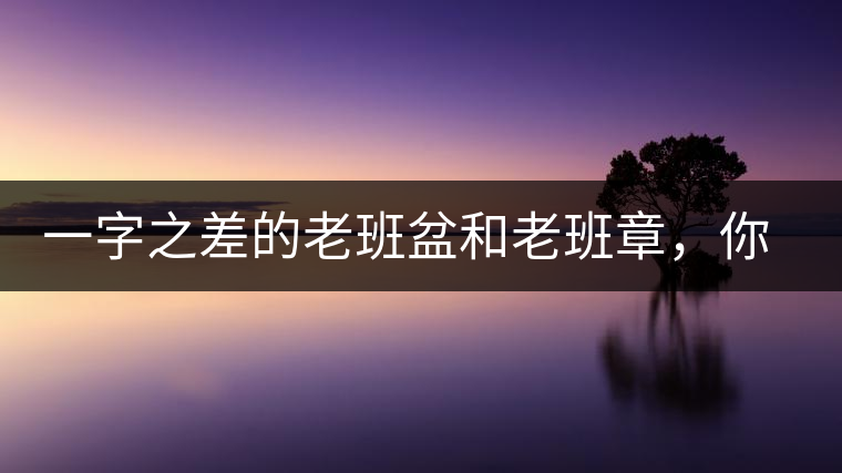 一字之差的老班盆和老班章，你能分辨嗎？