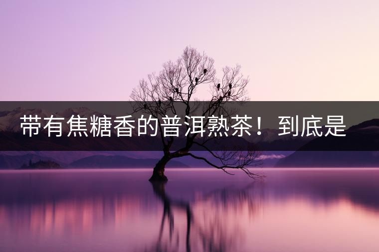 帶有焦糖香的普洱熟茶！到底是好是壞？