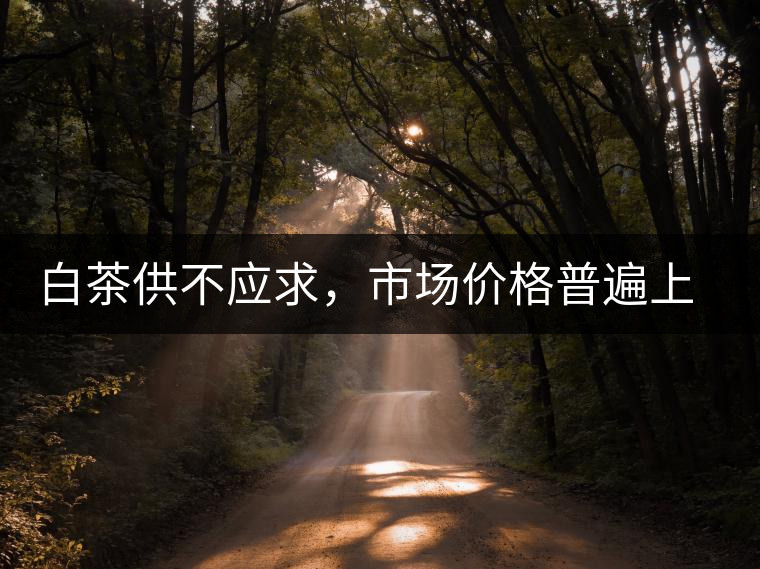 白茶供不應求，市場價格普遍上漲？