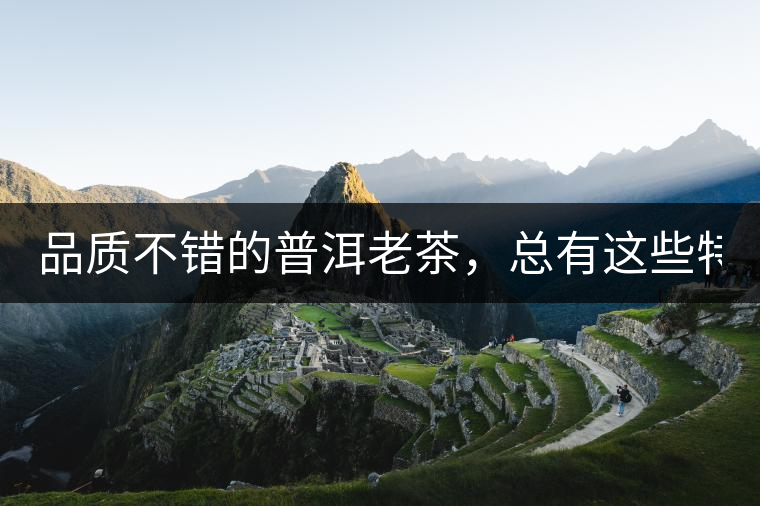 品質(zhì)不錯的普洱老茶，總有這些特點(diǎn)！