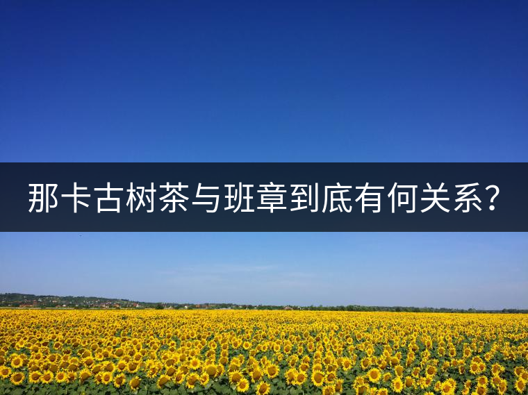 那卡古樹(shù)茶與班章到底有何關(guān)系？