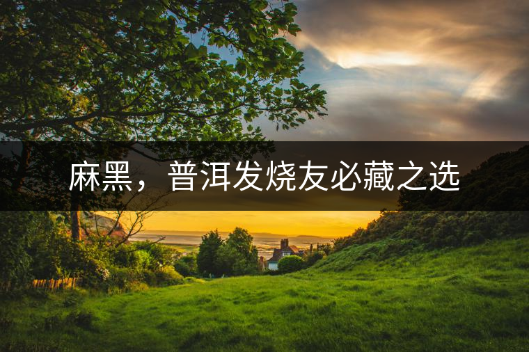 麻黑，普洱發(fā)燒友必藏之選