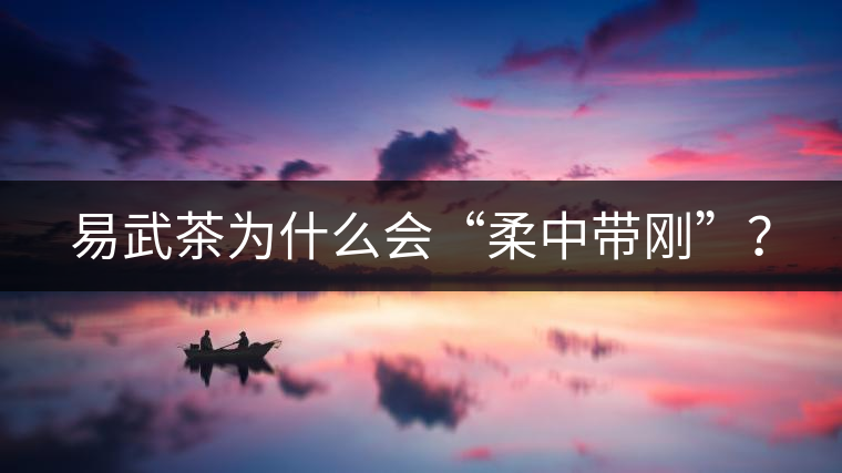 易武茶為什么會“柔中帶剛”？