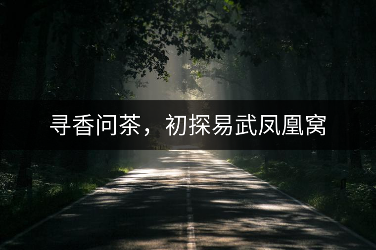 尋香問(wèn)茶，初探易武鳳凰窩