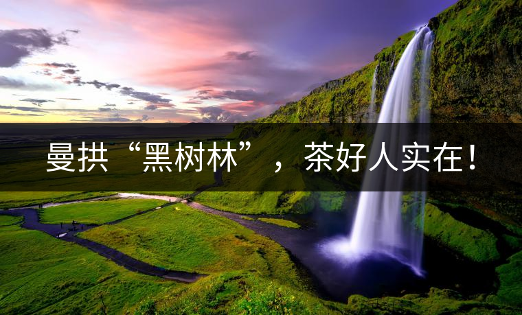 曼拱“黑樹林”，茶好人實(shí)在！