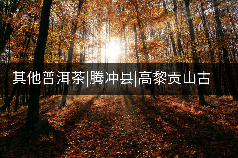 其他普洱茶|騰沖縣|高黎貢山古茶樹群