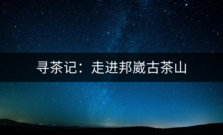 尋茶記:走進(jìn)邦崴古茶山 尋茶記:走進(jìn)邦崴古茶山