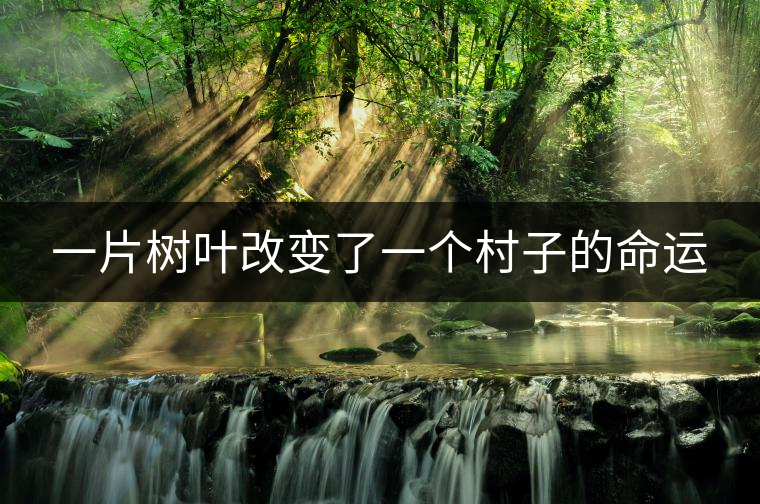 一片樹葉改變了一個(gè)村子的命運(yùn) 一片樹葉改變了一個(gè)村子的命運(yùn)