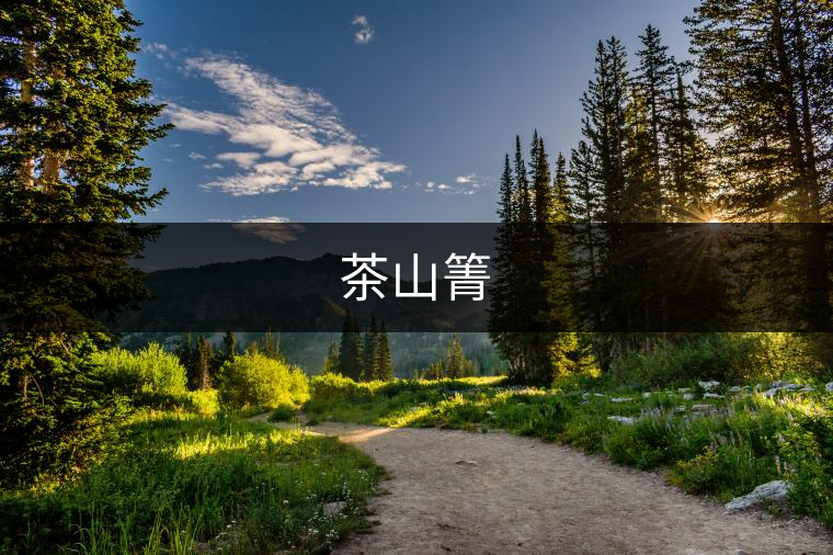 茶山箐 茶山箐